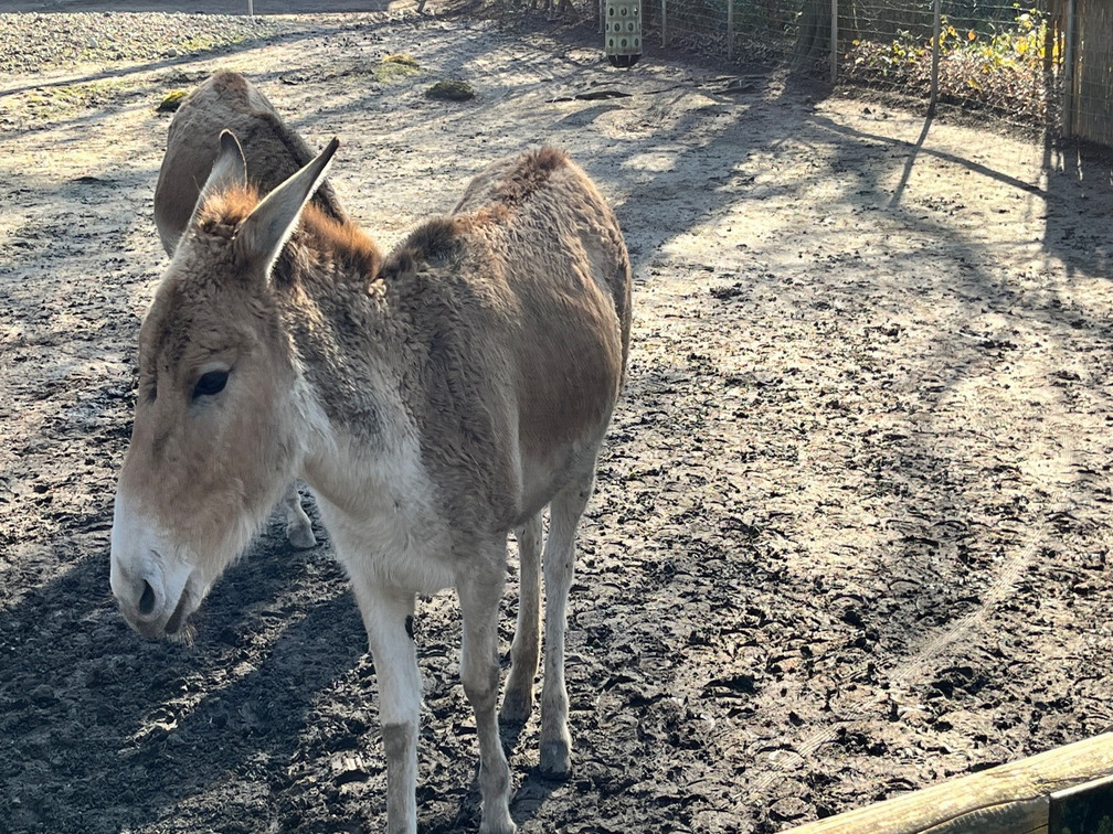 23-02-13 13-54-21 4204